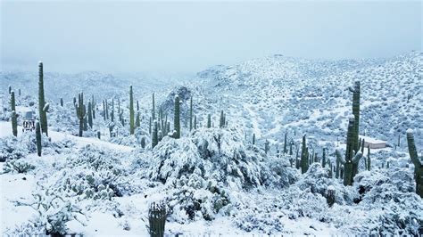 Snow in Flagstaff, rain in Phoenix, the latest on Arizona's historic ...