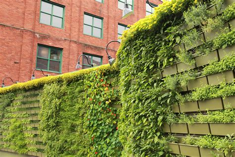 What is needed for a successful vertical garden? - LiveWall Green Wall System