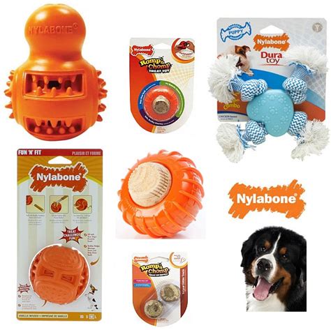 BIG Sale on Nylabone Dog Treat Toys and Puppy Toys + FREE Shipping ...