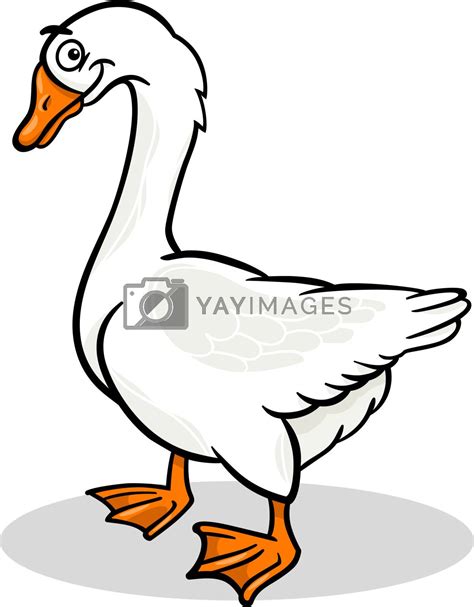 goose farm bird animal cartoon illustration by izakowski Vectors & Illustrations with Unlimited ...