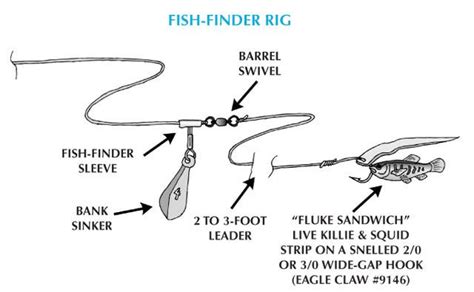 Shore Fishing Beach Fishing Rigs For Beginners - HunterArchdall