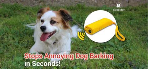 Barx Buddy Review: Why Use an Ultrasonic Device? - Guides, Business, Reviews and Technology