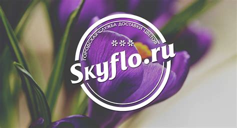 Skyflo | Belgorod
