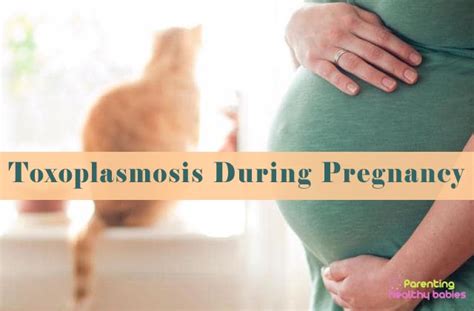 Toxoplasmosis during Pregnancy