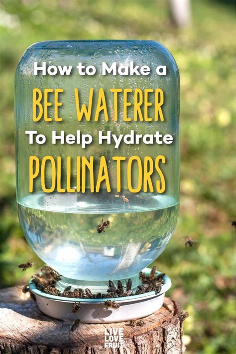 Make a Bee Waterer for Under $5 and Help Hydrate Our Pollinators in 2020 | Bee hives diy ...