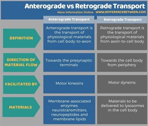 Difference Between Anterograde and Retrograde Transport | Compare the Difference Between Similar ...