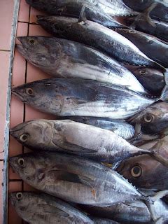 Produk Indonesia Terbaik - Komoditi Unggulan: Ikan Tuna - Kandungan Gizi Ikan Tuna