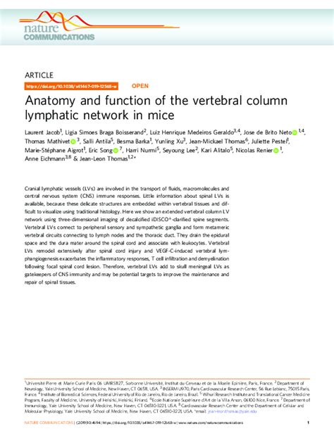 (PDF) Anatomy and function of the vertebral column lymphatic network in mice | Jean-leon Thomas ...