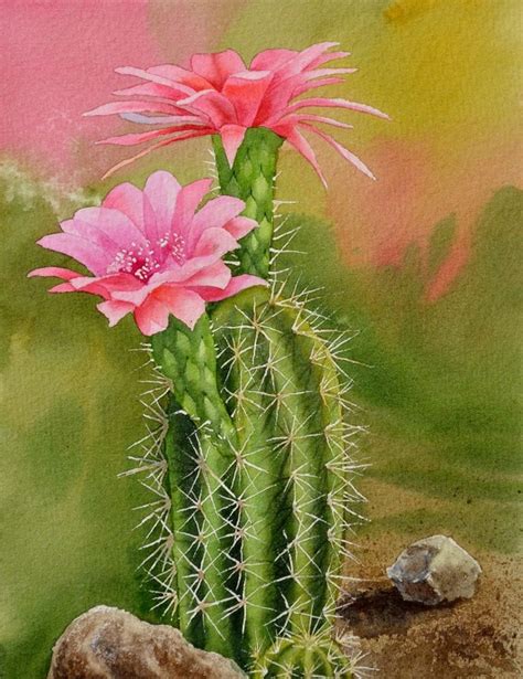 Cactus ORIGINAL wtercolor painting cactus painting