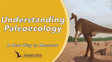 Understanding Paleoecology | A New Way to Museum - YouTube