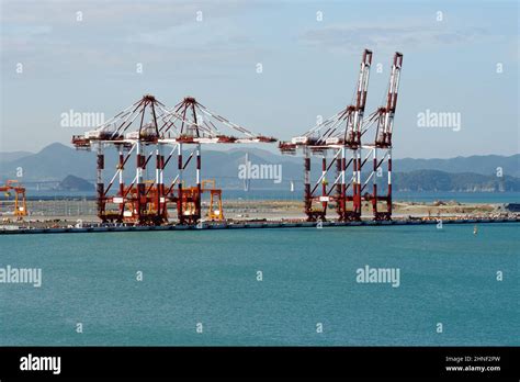 Red gantry cranes with white stripes in container terminal under ...