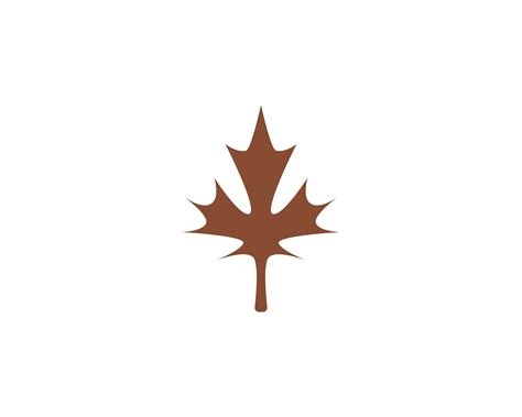 Maple leaf vector illustration 565893 Vector Art at Vecteezy