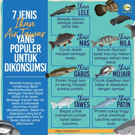 7 Jenis Ikan Air Tawar Yang Populer Untuk Dikonsumsi!