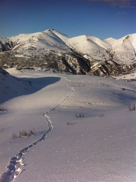 Snowshoeing in Alaska Mount Rainier, Denali, Alaska, Mountains, Natural ...