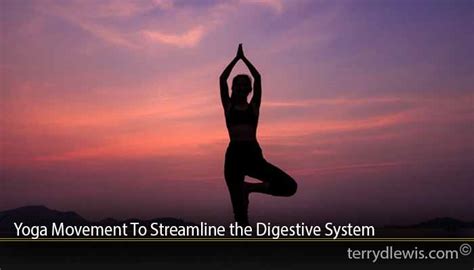 Yoga Movement To Streamline the Digestive System - Terrydlewis.com