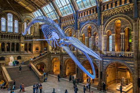 Top 20 free things to do in London - Lonely Planet