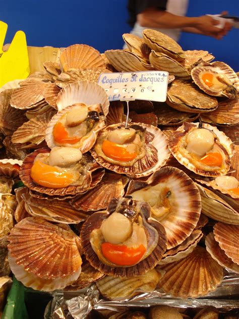 File:Coquilles Saint-Jacques.JPG - Wikimedia Commons