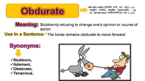 #Obdurate-(Learn BCS English Vocabulary with Picture) - YouTube