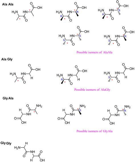 organic chemistry - How many dipeptides are possible by the reaction of glycine and alanine ...