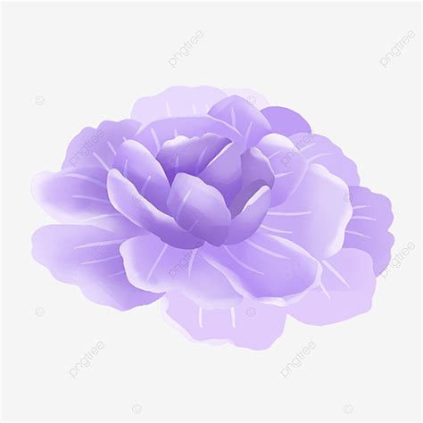 Cartoon Lavender PNG Image, Lavender Cartoon Flowers Cartoon Clip Art ...