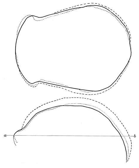 File:PSM V44 D636 Superimposed drawings of skull outlines.jpg - Wikimedia Commons