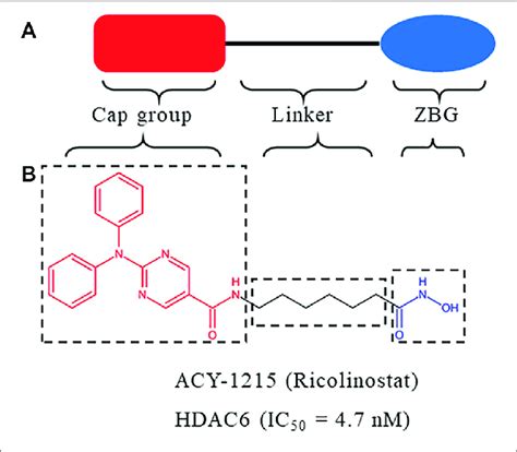 | (A) Structure of HDACs inhibitor. (B) Structure of ACY-1215 ...