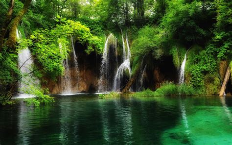 Download Forest Green Plitvice Lake National Park Nature Waterfall HD ...