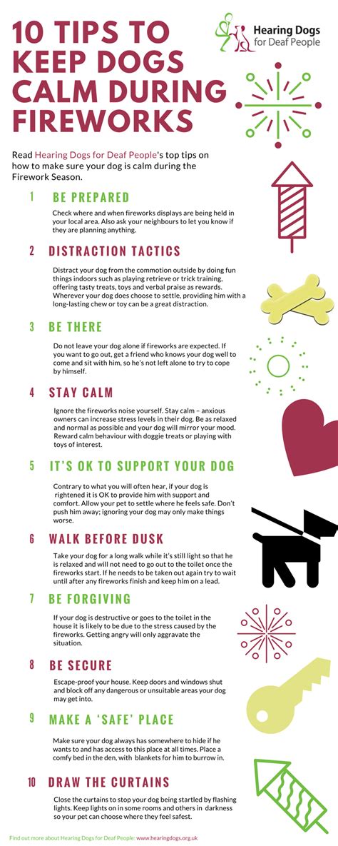 [Infographic] 10 tips on keeping your dog calm during fireworks