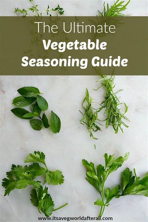 The Ultimate Vegetable Seasoning Guide - It's a Veg World After All®