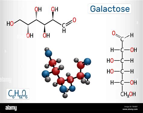 Galactose Structure Diagram