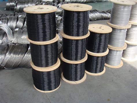 AISI 304 316 Nylon Coated Wire Rope - China Stainless Rope and Nylon Coated Wire Rope