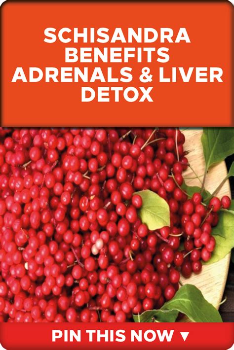 Schisandra Benefits Adrenals & Liver Detox (With images) | Liver detox, Natural liver detox ...