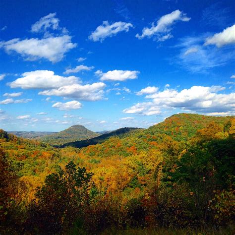 Fall in Kentucky [2048x2048] (OC) : pics