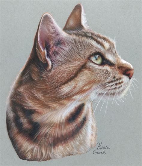 Pin by Keena Gozé on Art by me | Color pencil drawing, Realistic drawings, Color pencil art