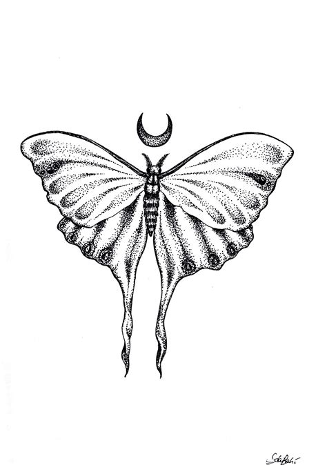 White Moth Tattoo