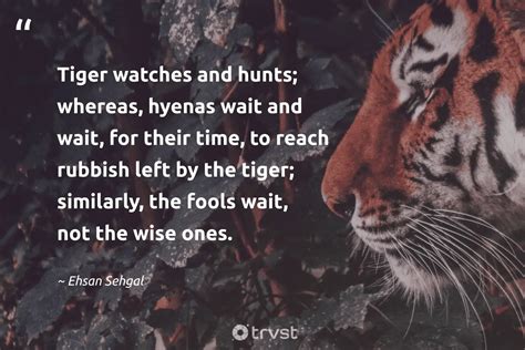 Tiger Quotes