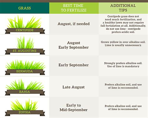 fall lawn care - when to fertilize your lawn chart | Fall lawn care, Fall lawn, Lawn care