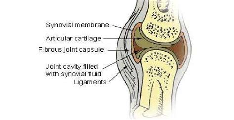 Knee Synovitis Treatment in Jaipur at Affordable Cost by Dr.Lalit Modi