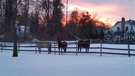 More Photos of Northport in the Snow | Northport, NY Patch