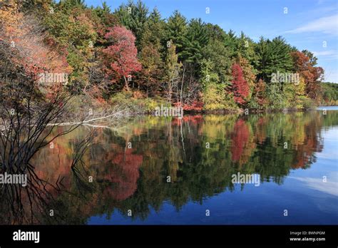 Autumnal pond hi-res stock photography and images - Alamy