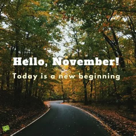 Hello, November! | Quotes for the Month of Gratitude