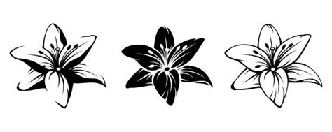 Silhouette Of The Black And White Lilies Illustrations, Royalty-Free Vector Graphics & Clip Art ...