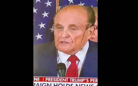 Video: Rudy Giuliani's hair dye started sweating off - Insider Paper