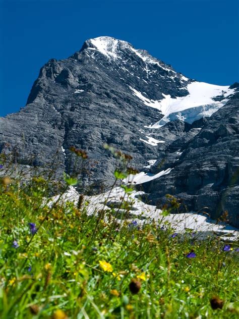 Eiger Mountain in Switzerland Stock Image - Image of high, landscape: 6223791