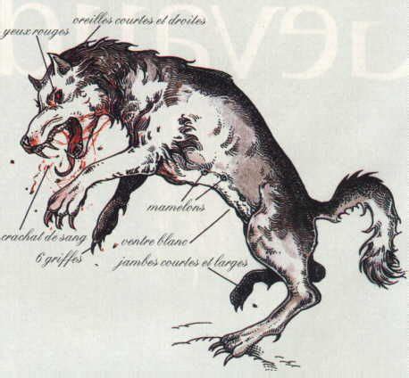 1000+ images about LA BETE DU GEVAUDAN on Pinterest | Dire wolf, Marquis and Search