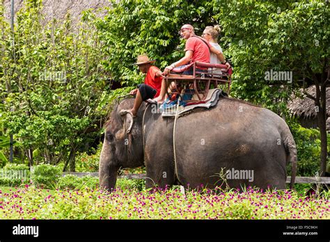 Elephant ride, Sampran Riverside, Bangkok, Thailand Stock Photo - Alamy