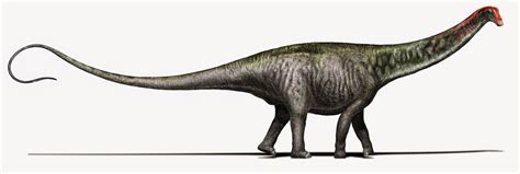 Scientists resurrect the Brontosaurus name with a bit of bone magic - The Verge