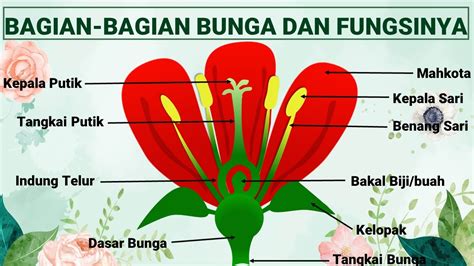 Bagian Bagian Bunga Beserta Fungsinya PDF, 58% OFF