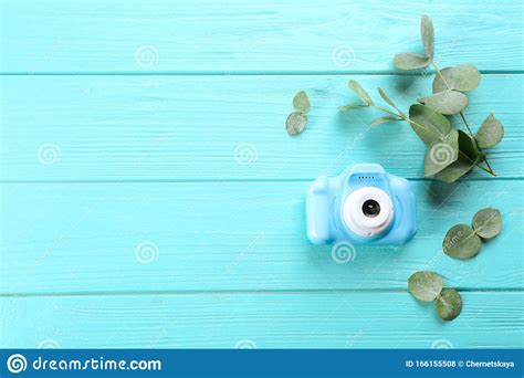 Toy Camera and Eucalyptus on Light Blue Wooden Background, Top View. Space for Text Stock Photo ...