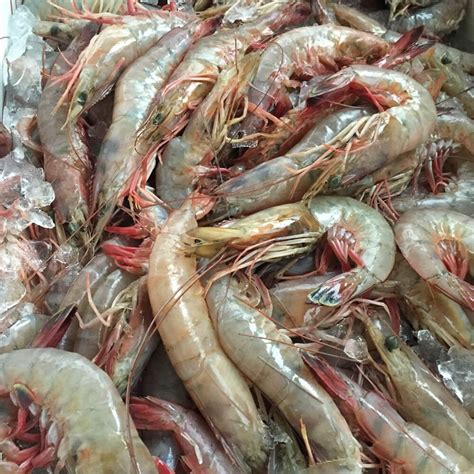 Large size wild caught Gulf shrimp | The Shrimp Net Fish Fresh Seafood ...